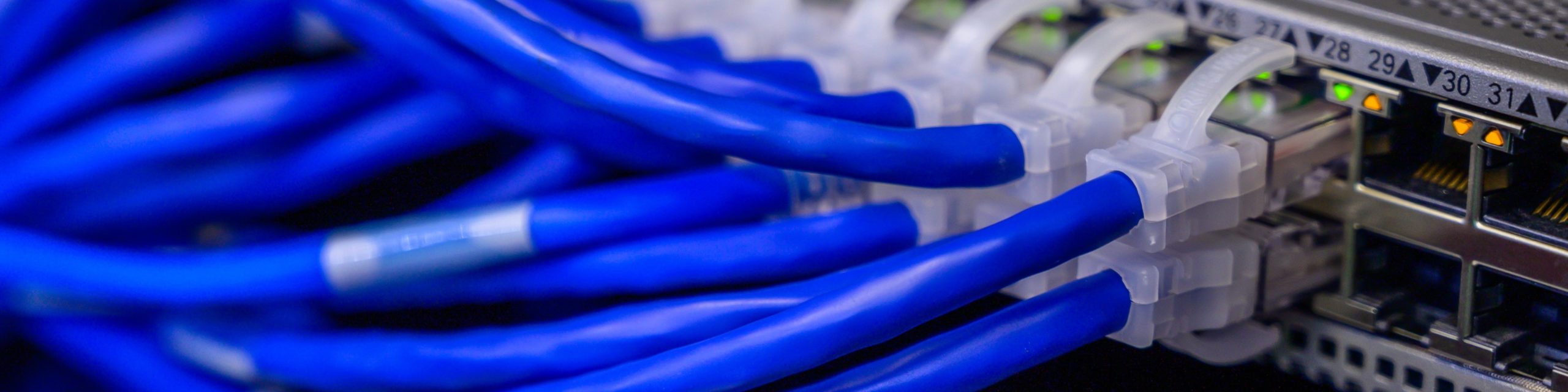 ethernet-cable-connected-to-a-port-cropped